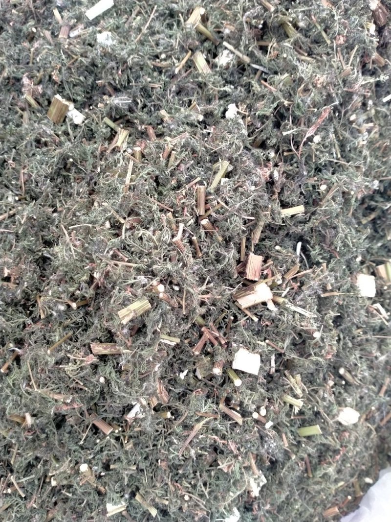 青蒿！颜色好！含量高！一手货源产地直销价格优