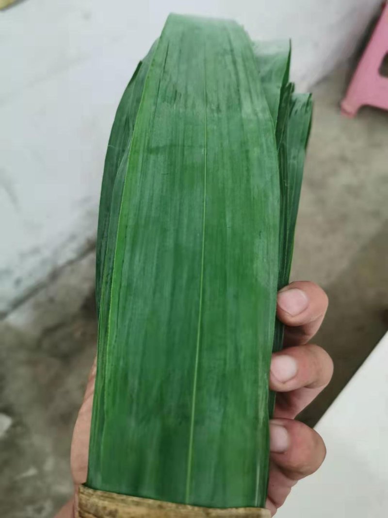 芦苇叶粽叶芦苇粽叶粽子叶包粽子用芦苇叶