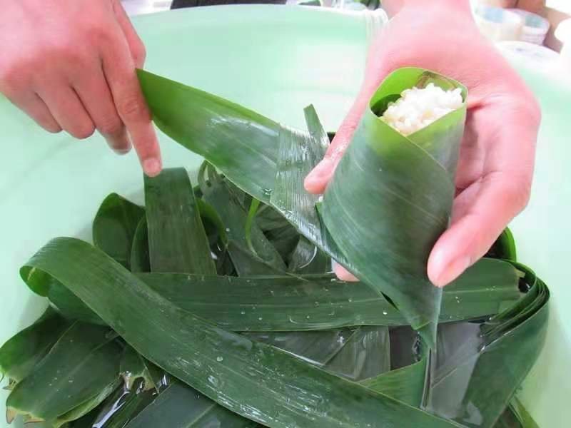 芦苇叶粽叶芦苇粽叶粽子叶包粽子用芦苇叶