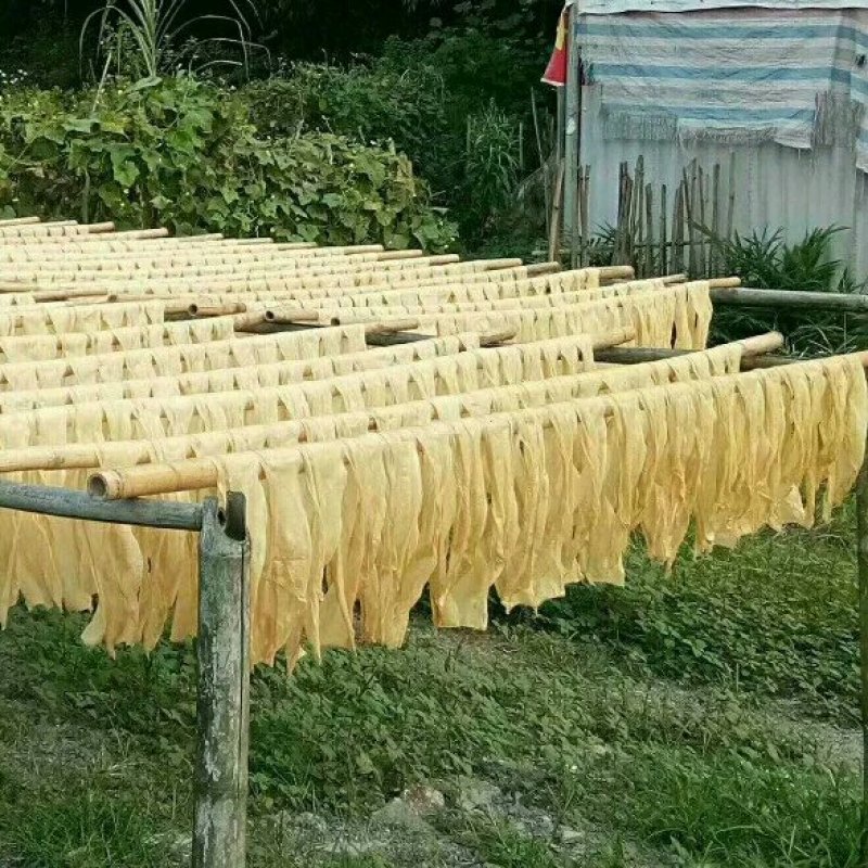 广西农家腐竹