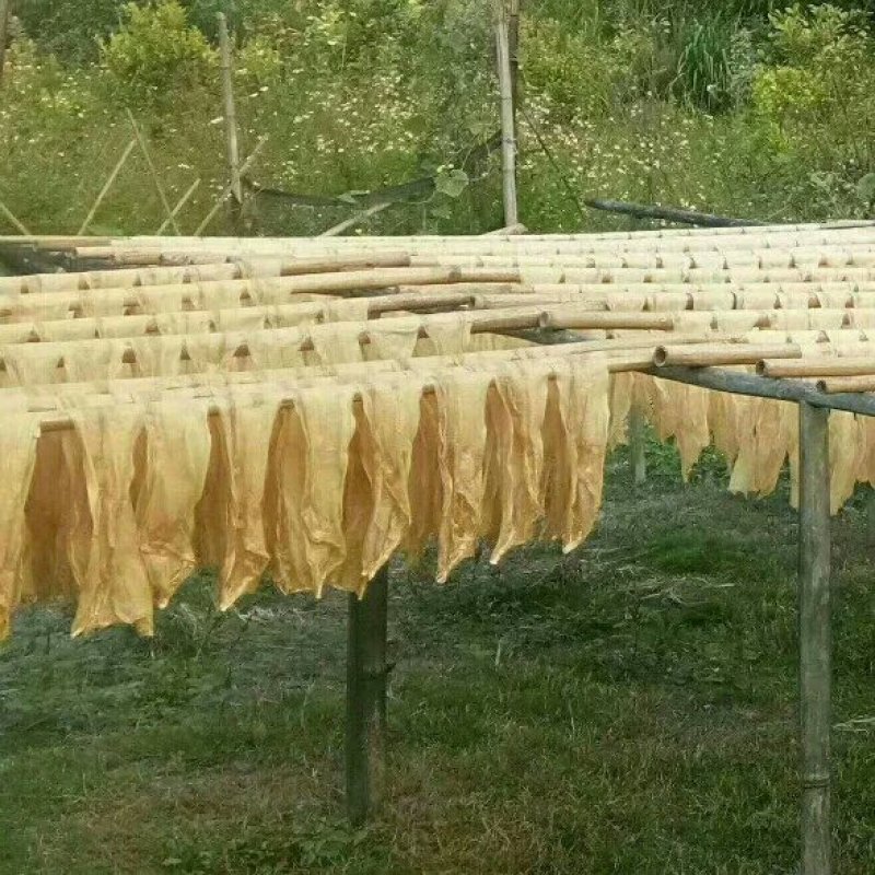 广西农家腐竹