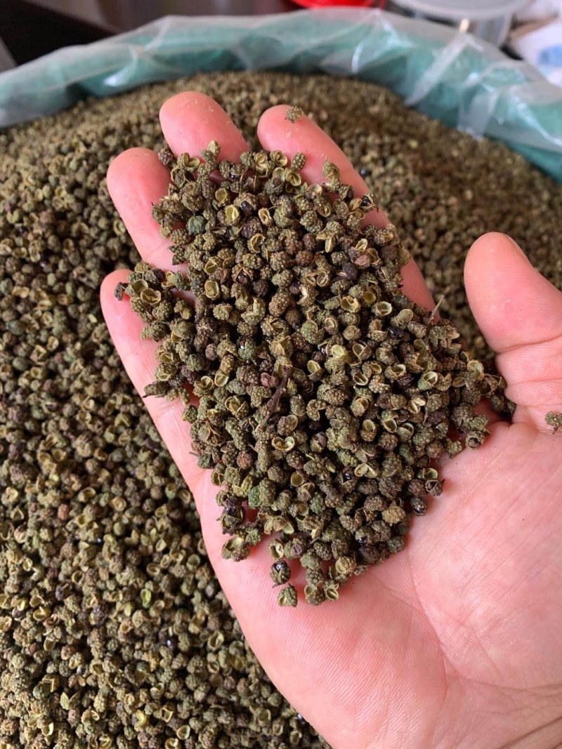 汉源青花椒，口感麻，卖十元一碗模式，地摊早市菜市热销