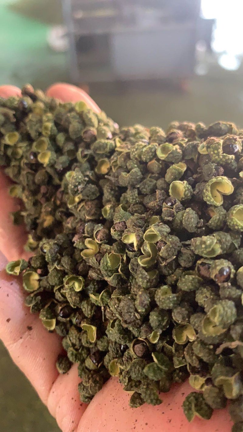 汉源青花椒，口感麻，卖十元一碗模式，地摊早市菜市热销