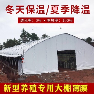 黑白膜养殖专用大棚膜食用菌膜遮光膜防晒隔热塑料膜农用