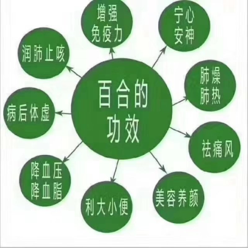 2024年鲜百合上市啦