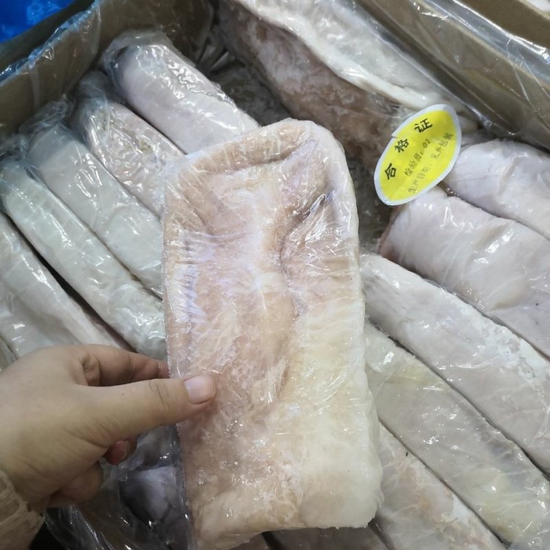 猪大肚生猪肚子冷冻猪肚鲜冻猪肚江浙沪皖包邮