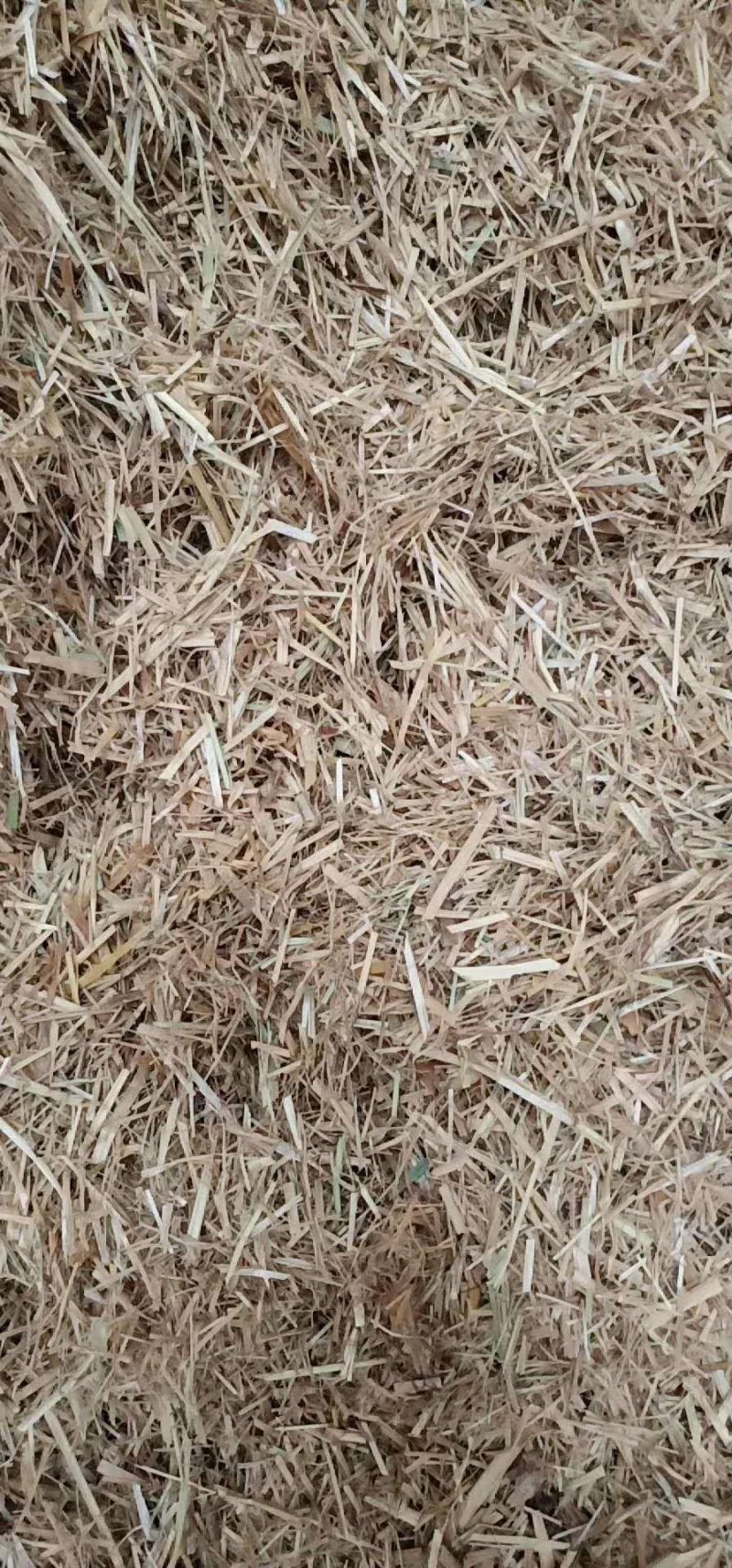 优质稻草切断柔丝质量保证无土无沙