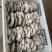 鲜平菇