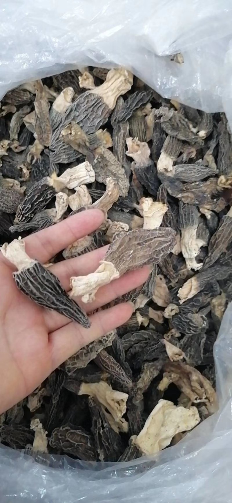 羊肚菌干货批发价须要的联系我