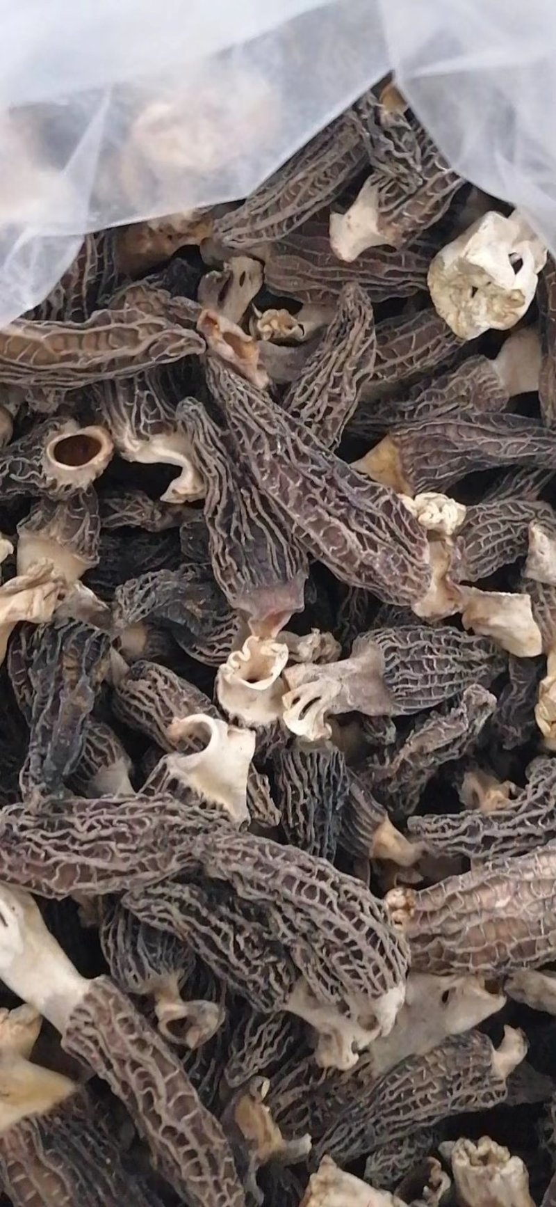 羊肚菌干货批发价须要的联系我
