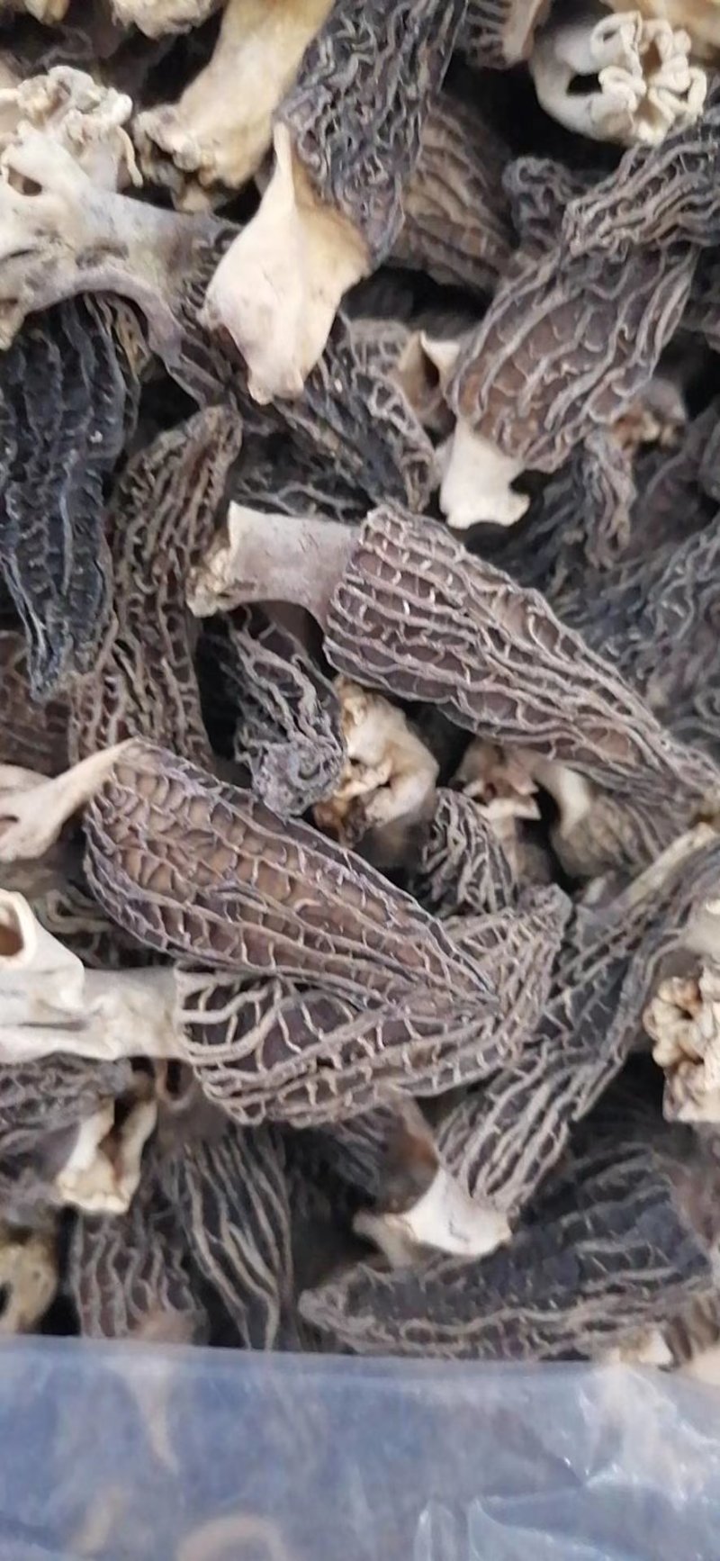 羊肚菌干货批发价须要的联系我