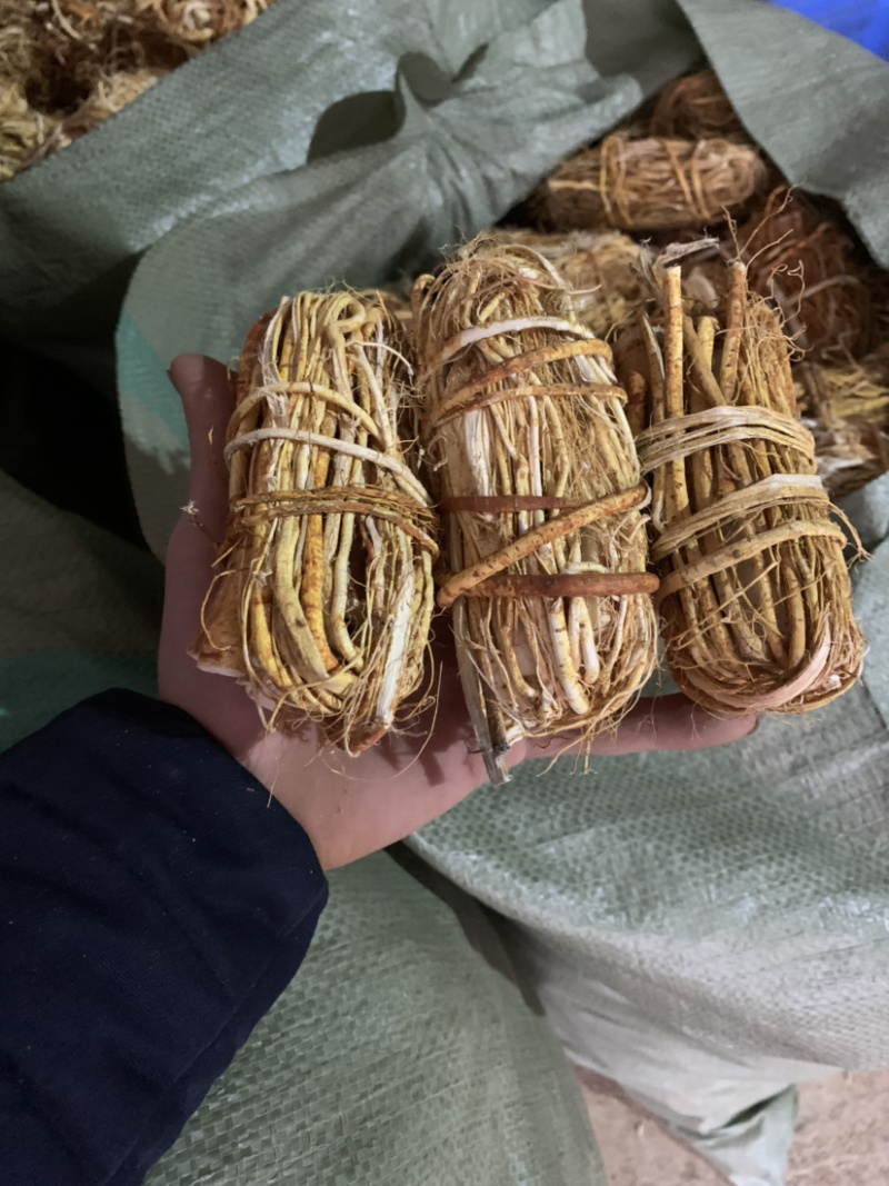 五指毛桃，应有尽有，加工厂供应