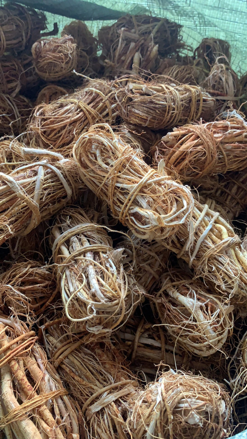 五指毛桃，应有尽有，加工厂供应