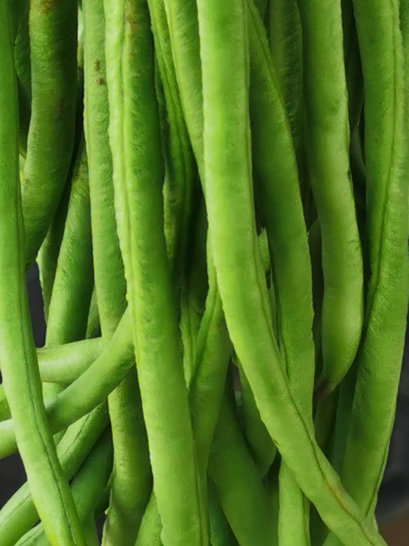 长豆