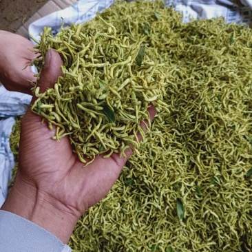 金银花