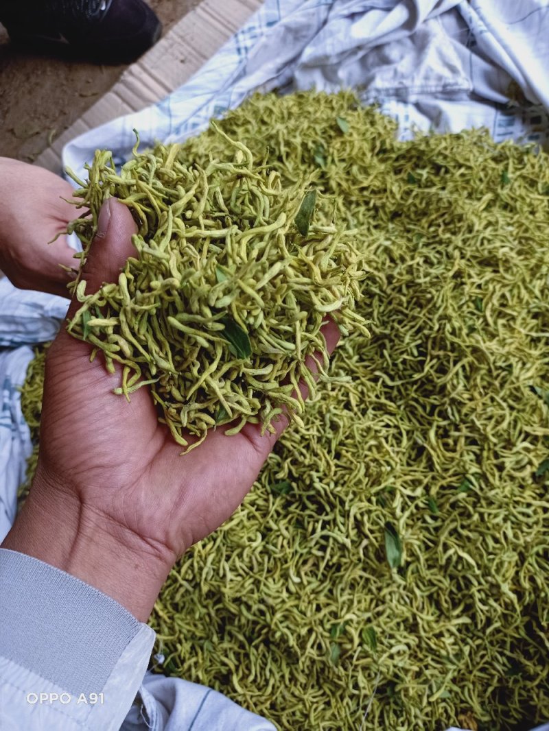 金银花
