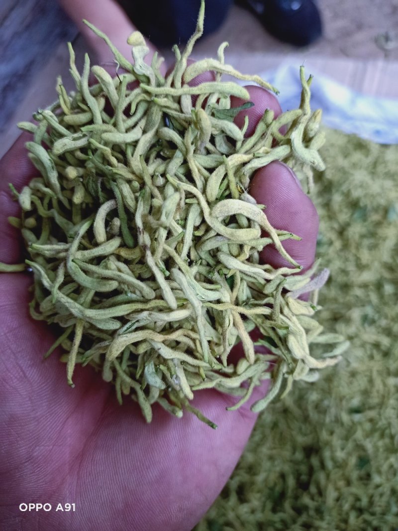 金银花