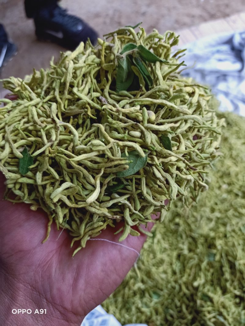金银花