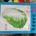 曰本新夏阳大白菜种子