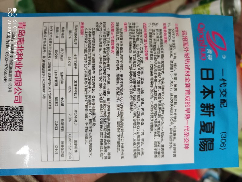 曰本新夏阳大白菜种子