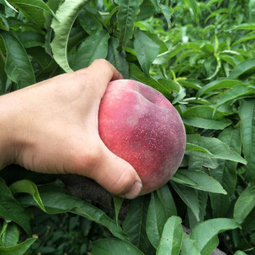 突围