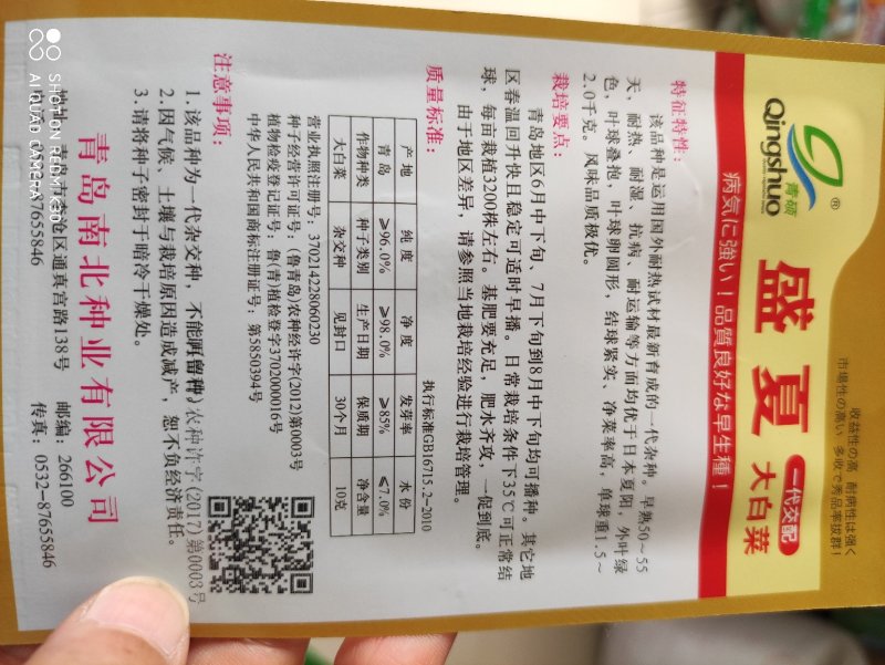 盛夏大白菜种子早熟耐热耐湿抗病