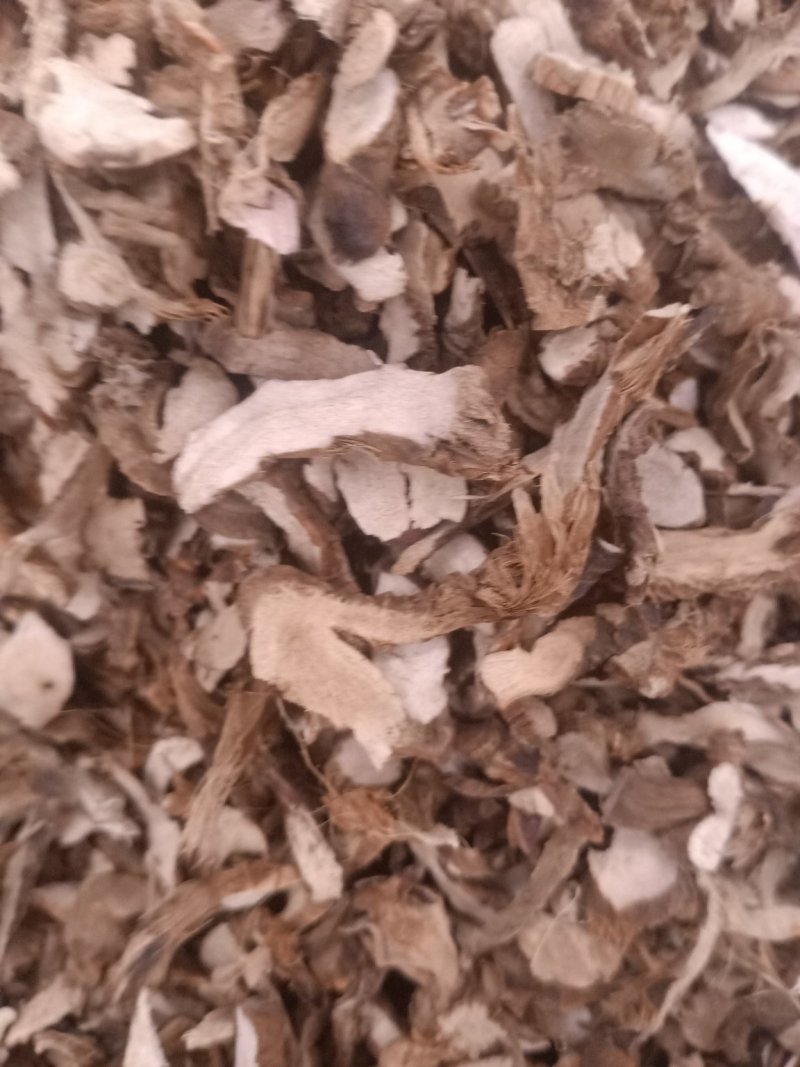 石菖蒲大货批发包含量另有九节菖蒲水菖蒲石菖蒲