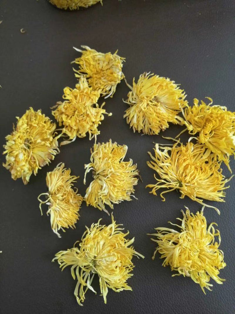 金丝皇菊，袋装一朵，罐装50朵