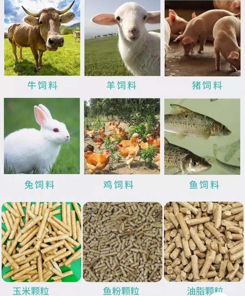 饲料加工机械设备厂家直销一手货源饲料制粒机五谷杂粮颗粒机