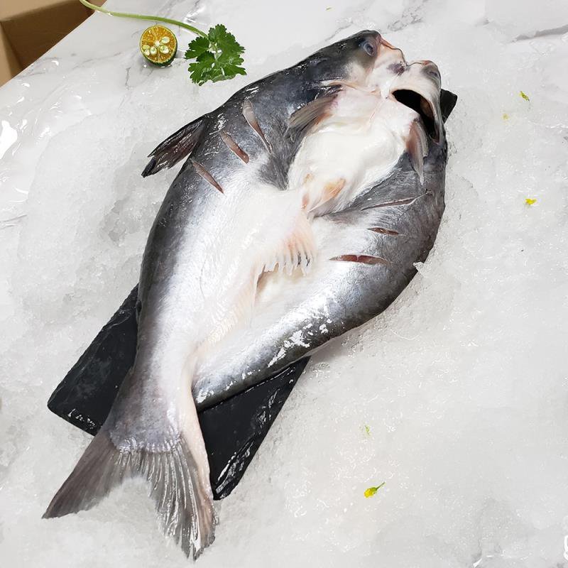 越南海水开背巴沙鱼，质量超好。。。。。。