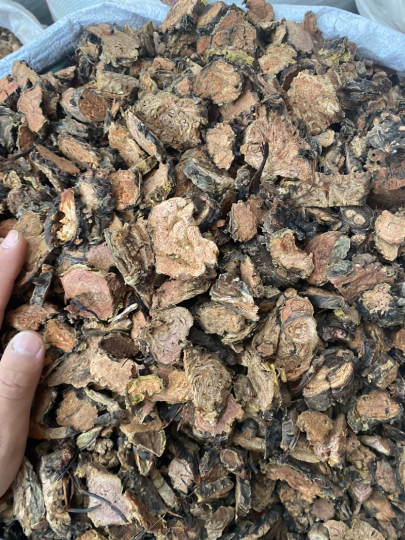 红景天西藏大红花批发各种中药材产地直销量大从优