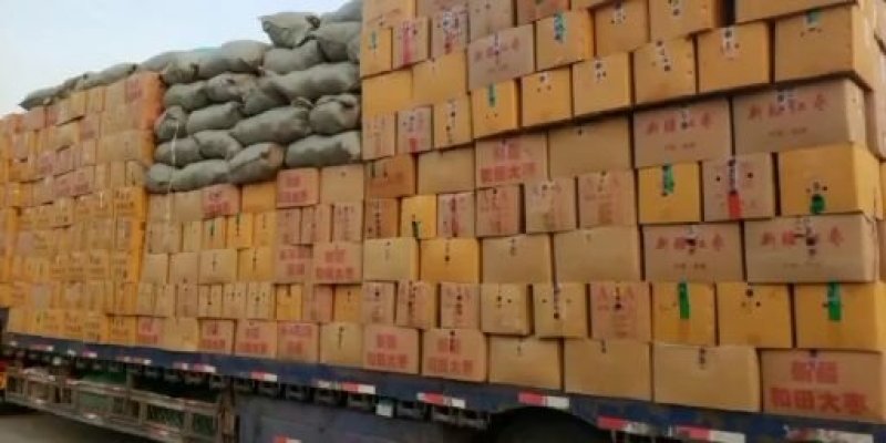 【常年经营】新疆红枣免洗肉多核小可视频看货