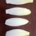 菊苣菜