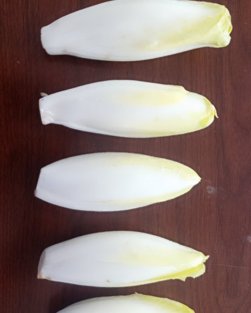 菊苣菜