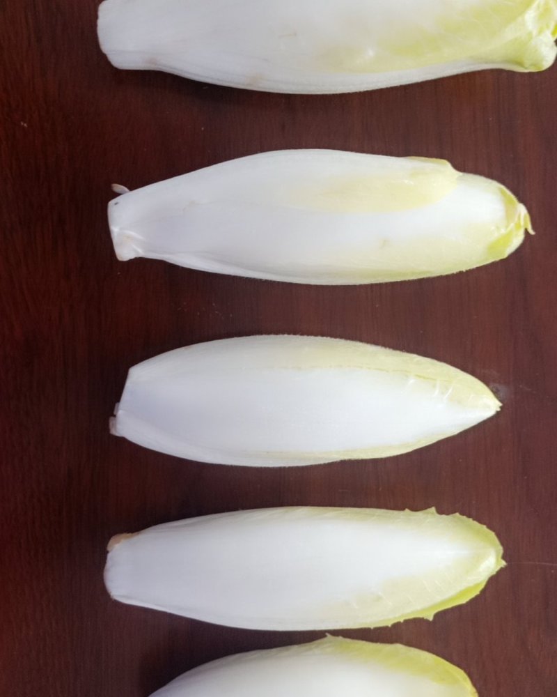 菊苣菜