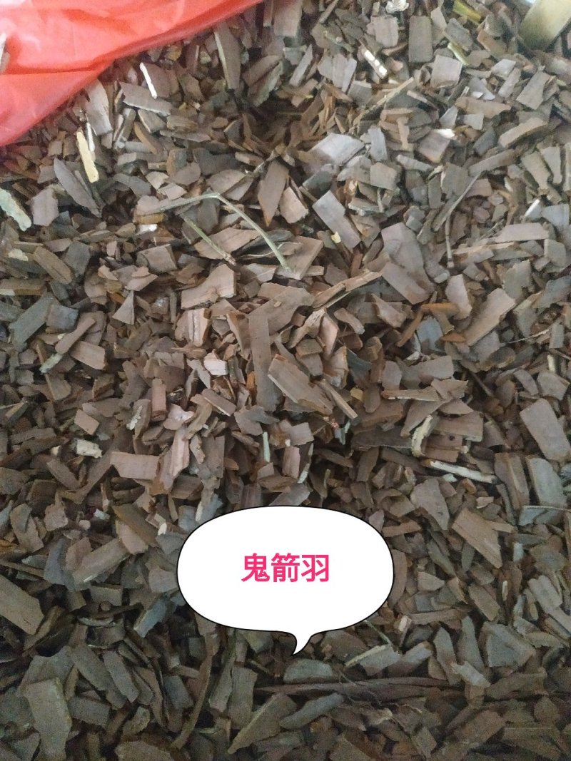 鬼箭羽～新货～1公斤起售～质量好欢迎咨询采购
