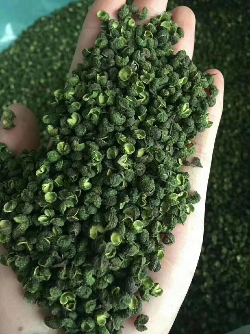 【青麻椒】绿麻椒花椒产地一手货源常年供应全国发货