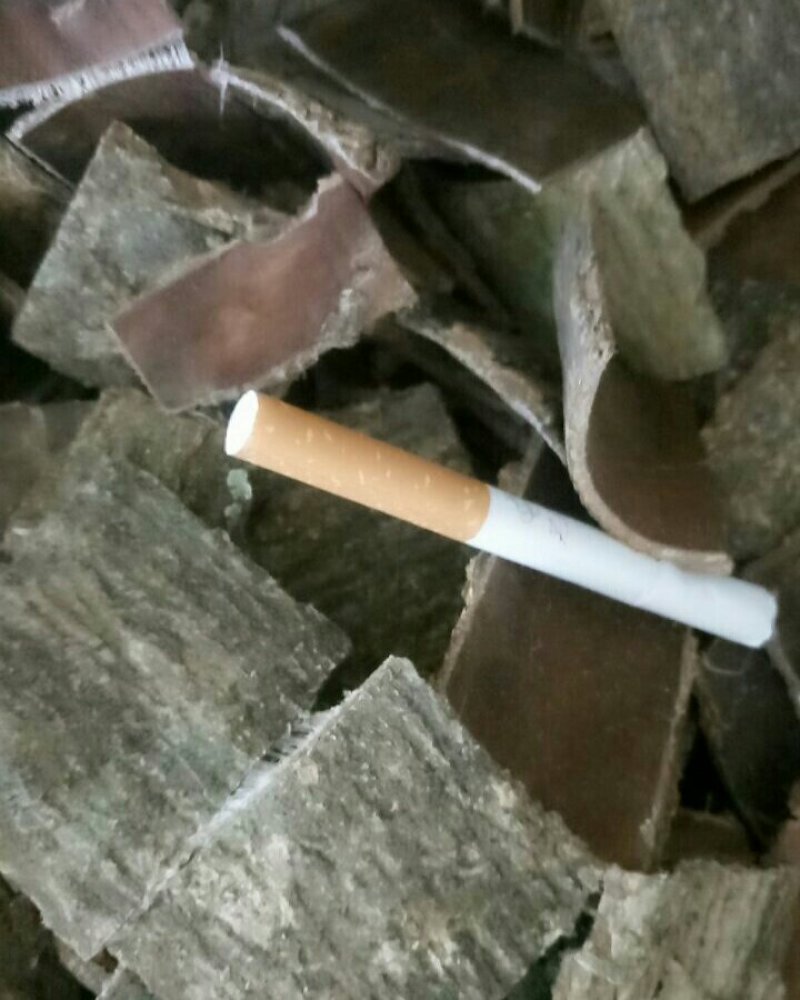 杜仲皮