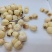 特级江西香莲子190g瓶装全新包邮(除偏远地区外)