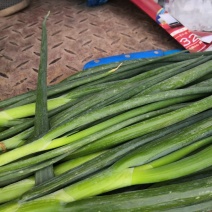 小葱