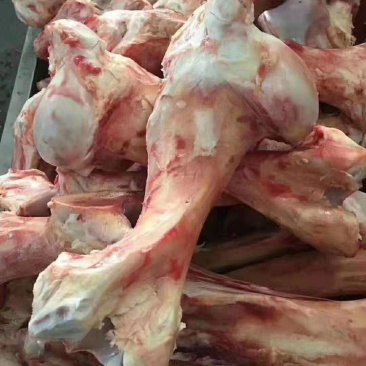 牛棒骨:价格合理，厂家直销.一手货源