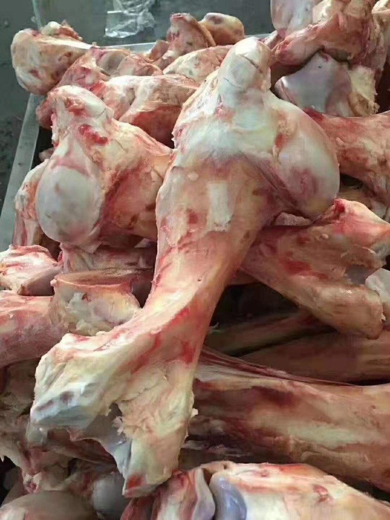 牛棒骨:价格合理，厂家直销.一手货源