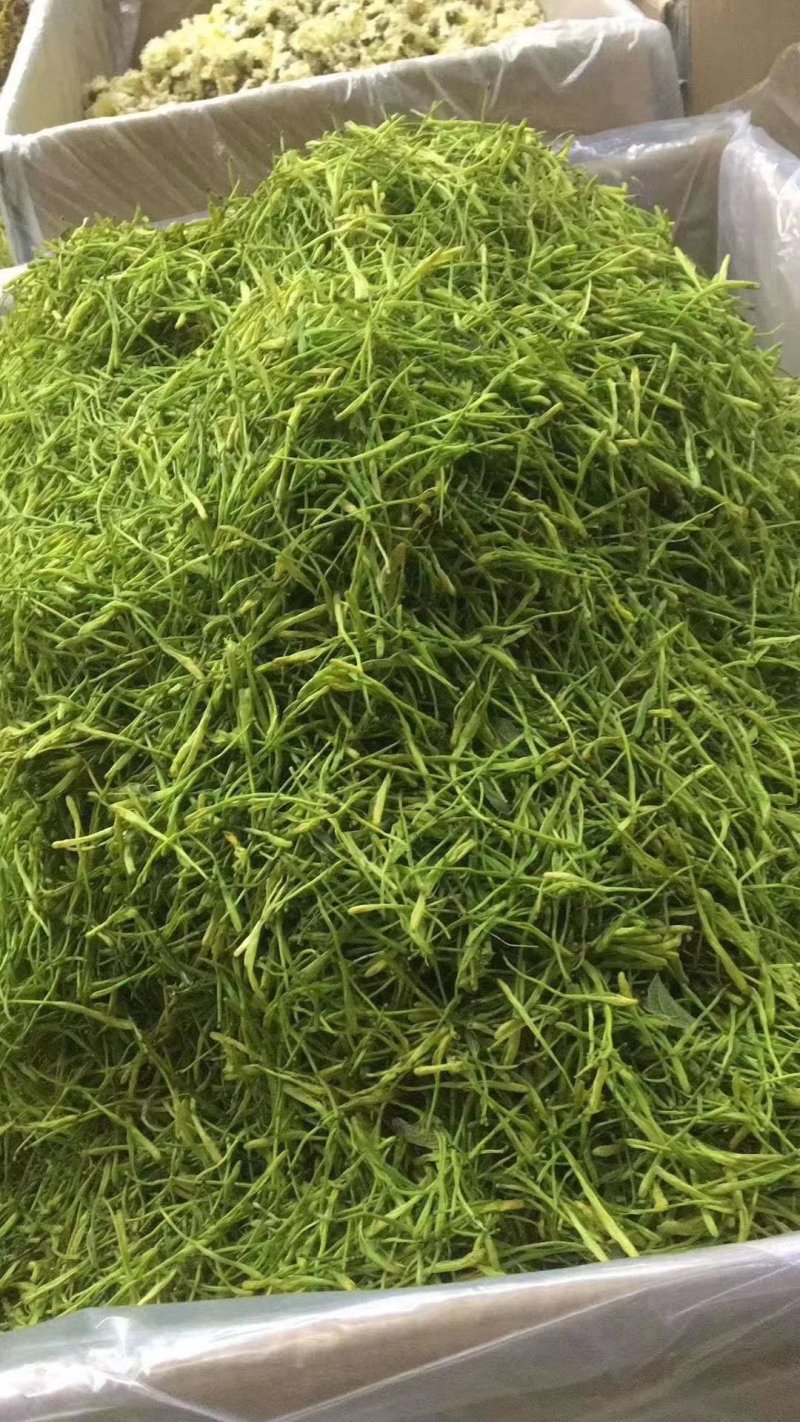 金银花头茬新货金银花山东河南金银花量大批发
