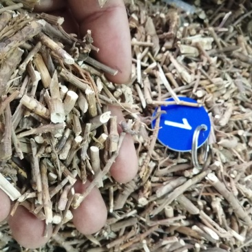 柴胡，北柴胡根，北柴胡枝（阳枝）大量现货供应