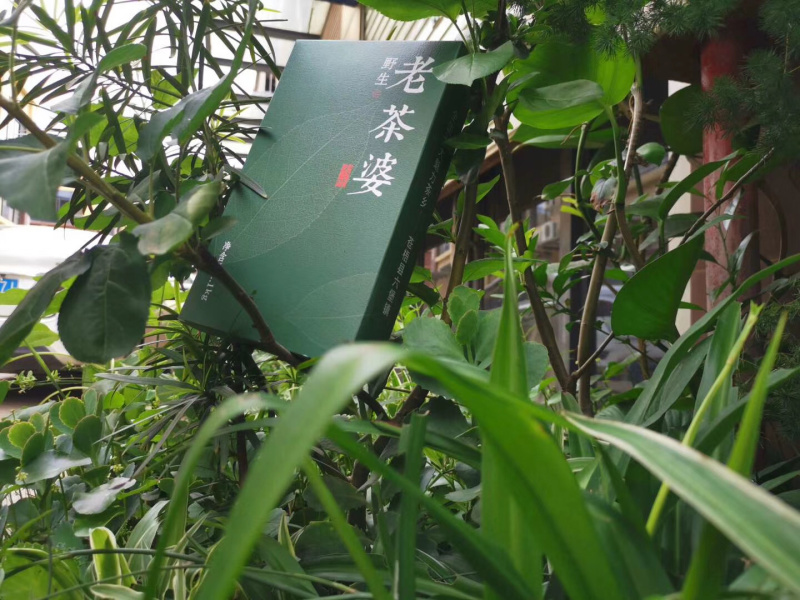 广西梧州六堡茶，2005年生晒老茶婆砖（1000克）