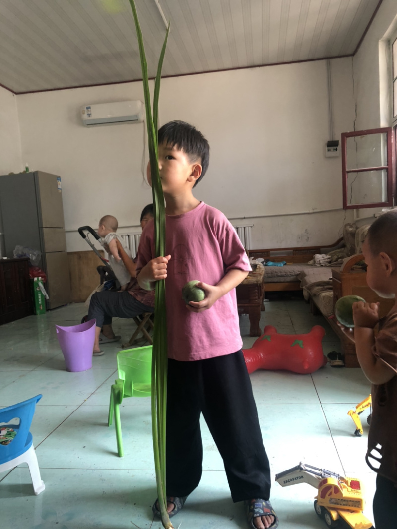 菖蒲
