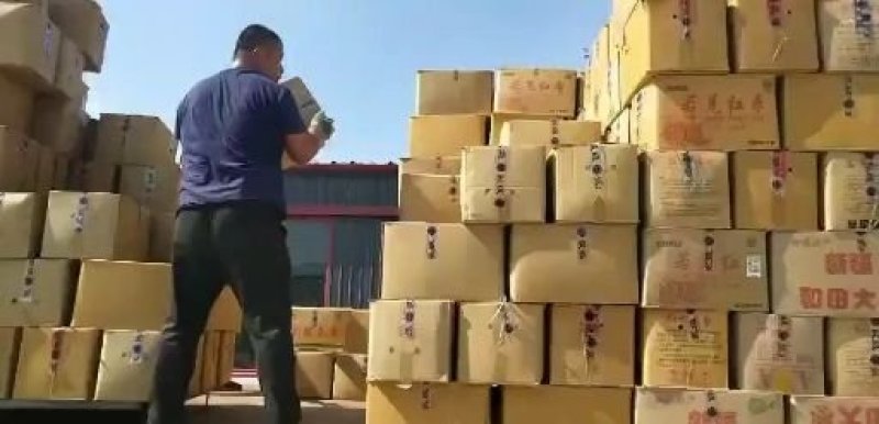 新疆和田大枣厂家直供一手货源日供100吨以上