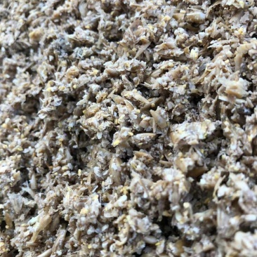 本公司常年出售鲜啤酒糟脱水发酵啤酒糟质量保证