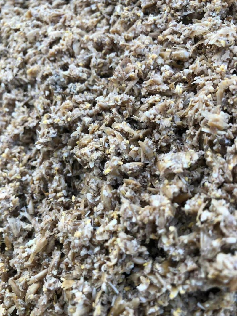 本公司常年出售鲜啤酒糟脱水发酵啤酒糟质量保证