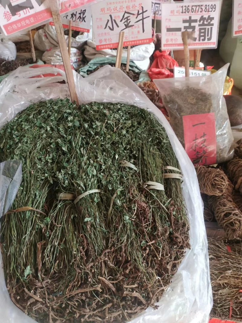 岩黄莲～新货～1斤起售～质量好价格便宜欢迎咨询采购
